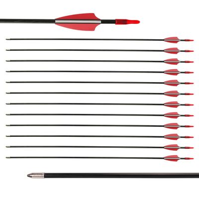 LWANO 28" Fiberglass Arrows - Archery Practice Target Arrows with Blunt Tips Durable Shaft for Youth Kids Children Beginners on Recurve&Long Bows(Pack of 12)
