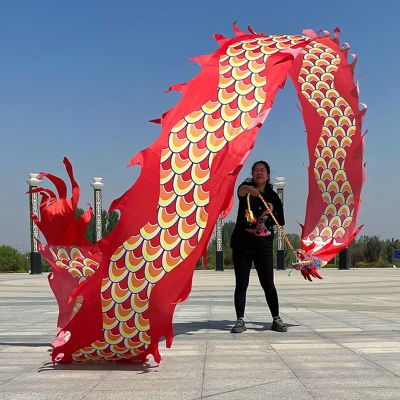 CMYUN Dragon Poi Gymnastics Dragon Ribbon Dancer Silk, Colorful Twirling Poi/Dragon Poi Kite Streamers with Head, Adult Seniors Dance Flag Ribbon Gift (Color : Red A, Size : Length - 8m/26ft)