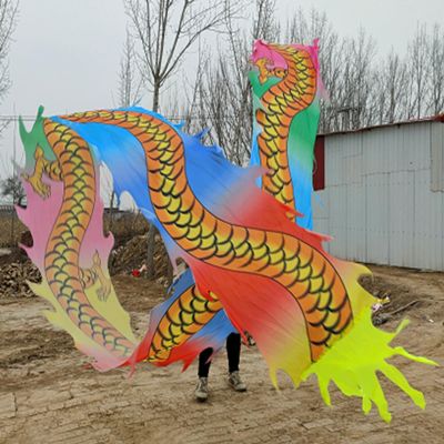 Dragon Poi Oriental Dragon Poi Silk Washable, Fitness Gymnastics Flinging Dragon Ribbon Dance, Art Dance Flag Dragon Streamer, for Party Farm Juggling ( Color : Colorful , Size : Length - 6m/19.5ft )