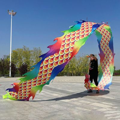 CMYUN Dragon Poi Gymnastics Dragon Ribbon Dancer Silk, Colorful Twirling Poi/Dragon Poi Kite Streamers with Head, Adult Seniors Dance Flag Ribbon Gift (Color : Colorful, Size : Length - 6m/19.5ft)