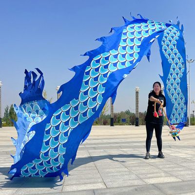 CMYUN Dragon Poi Gymnastics Dragon Ribbon Dancer Silk, Colorful Twirling Poi/Dragon Poi Kite Streamers with Head, Adult Seniors Dance Flag Ribbon Gift (Color : Blue, Size : Length - 10m/33ft)