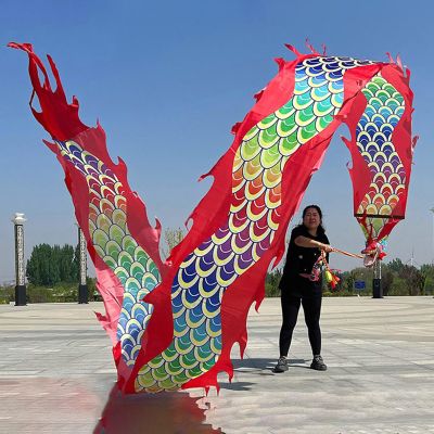 CMYUN Dragon Poi Gymnastics Dragon Ribbon Dancer Silk, Colorful Twirling Poi/Dragon Poi Kite Streamers with Head, Adult Seniors Dance Flag Ribbon Gift (Color : Red B, Size : Length - 8m/26ft)