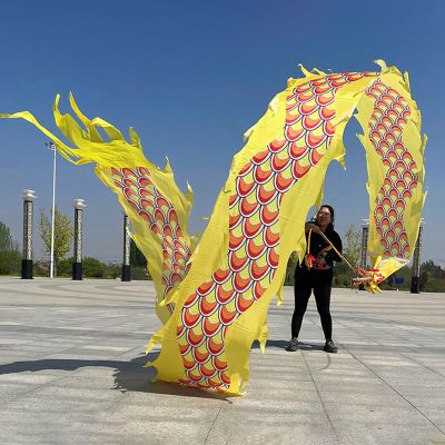 CMYUN Dragon Poi Gymnastics Dragon Ribbon Dancer Silk, Colorful Twirling Poi/Dragon Poi Kite Streamers with Head, Adult Seniors Dance Flag Ribbon Gift (Color : Yellow, Size : Length - 6m/19.5ft)