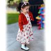 HINTINA 2T Toddler Little Girls Dress with Cardigan Floral Flower Print Sleeveless Tangerine Dress and Long Sleeve Waffle Cardigan Set Fall Winter Outfits 2-3T view 2