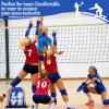 Yinder 4 Pcs Volleyball Knee Pad and Arm Sleeve Volleyball Accessories Stuff Forearm Elbow Sleeve Wrist Guard with Protection Pad and Thumb Hole for Women Men Adult(Medium,Blue) view 4