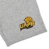 Campus Lab University of Arkansas at Pine Bluff Mens Sweat Shorts, Primary Logo, Athletic Heather, X-Large view 2