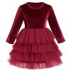 Toddler Girls Velvet Dress Long Sleeve Christmas Dresses for Baby Girls Burgundy Flower Girl Tutu Tulle Dress Fall Winter Fancy Party Twirl Dress Vestidos Elegantes para Ni?as Wine Red 3-4 Years view 1