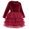 Toddler Girls Velvet Dress Long Sleeve Christmas Dresses for Baby Girls Burgundy Flower Girl Tutu Tulle Dress Fall Winter Fancy Party Twirl Dress Vestidos Elegantes para Ni?as Wine Red 3-4 Years view 3