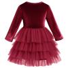 Toddler Girls Velvet Dress Long Sleeve Christmas Dresses for Baby Girls Burgundy Flower Girl Tutu Tulle Dress Fall Winter Fancy Party Twirl Dress Vestidos Elegantes para Ni?as Wine Red 3-4 Years view 4