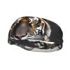 Tiger at Rest Sports Headband for Both Men and Women, Suitable for Running, Yoga, Basketball, Elastic Moisture Band. view 1