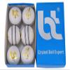 BT Premium White Cricket Ball - Pack of 6 Genuine Leather Cricket Balls for Day or Night International Standard Cricket and Practice | Bat-Friendly Hard Cricket Ball | 156g view 2