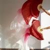 Adhdyuud Belly Dance 1 Pair Silk Veils Classic Size Fan Veil Dancer Preformance Props Bellydance Silk Fans6 L-180cm-90cm view 2