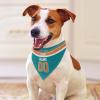 Miami Personalized Bandana Custom Design Name Number Scarf Football Gifts for Dogs, Cats view 3
