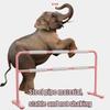 Ballet Barre Mobile Steel Ballet Barre, Adult and Children's Home Dance Room Gym Leg Pressing Rod (Color : Black, Size : 2M/6.6FT) view 3