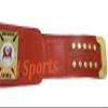 Legend of Doom Road Warrior Wrestling Championship Belt Gold Plated view 4