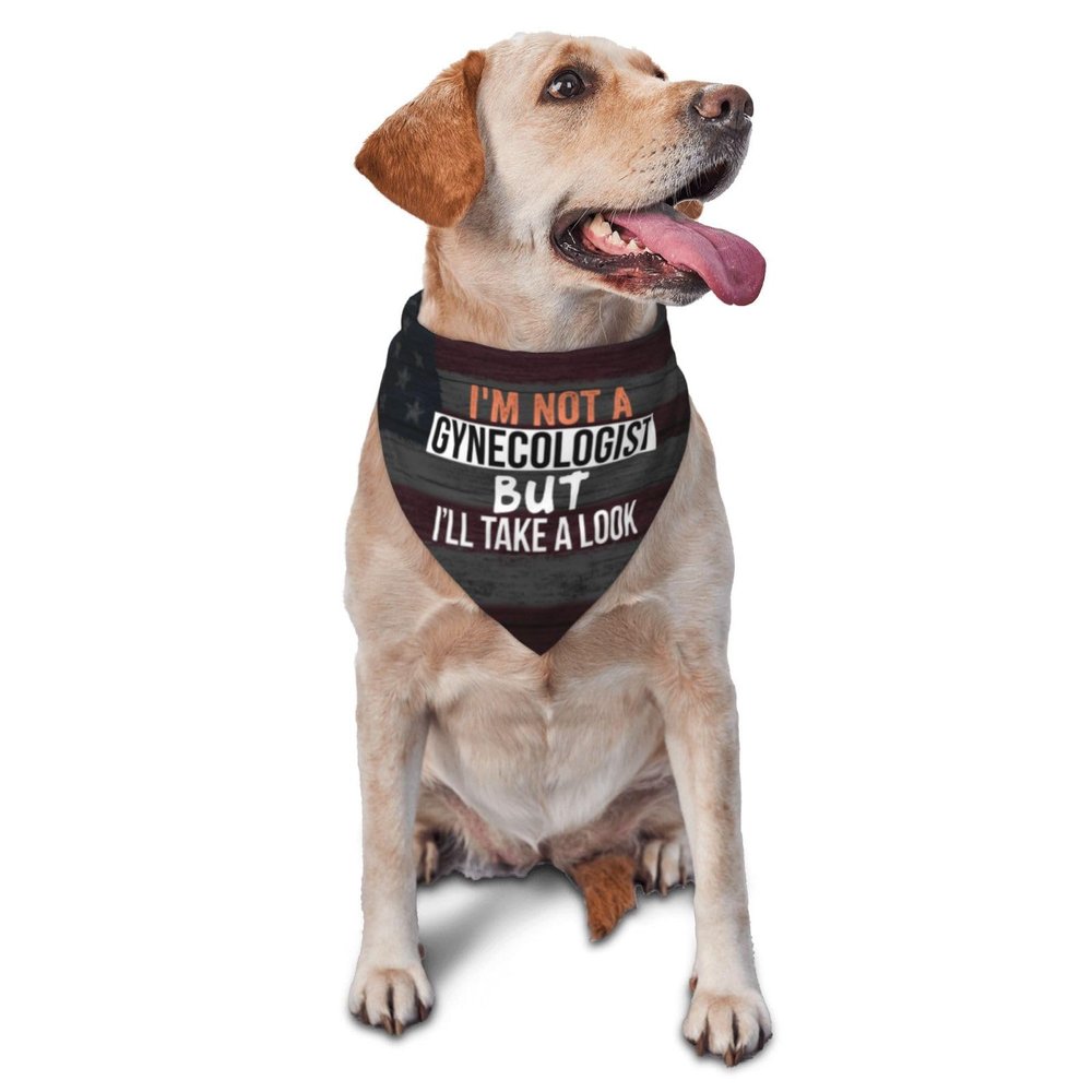 I'm Not A Gynecologist But I'll Take A Look Dog Scarf Pet Bandana Cat Pet Bibs
