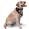 I'm Not A Gynecologist But I'll Take A Look Dog Scarf Pet Bandana Cat Pet Bibs view 2
