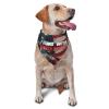 I Stands with Tucker Carlson Dog Scarf Pet Bandana Cat Pet Bibs view 1