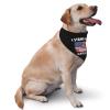 I Stands with Tucker Carlson Dog Scarf Pet Bandana Cat Pet Bibs view 2