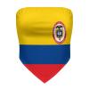 Linkasi Colombian Flag Women's Sexy Open Back Thong Bikini Tie Sides Bottom Triangle Bikini Swimsuit view 4