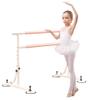Ballet Barre Mobile Steel Ballet Barre with Adjustable Height and Comfortable Handle, Strong Suction Cups and Locks (Size : 2M/6.6FT) view 1