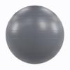 Power Systems Versa Ball Pro Stability Ball - Large Gym, Chair or Birthing Ball (Gray, 65cm) view 2