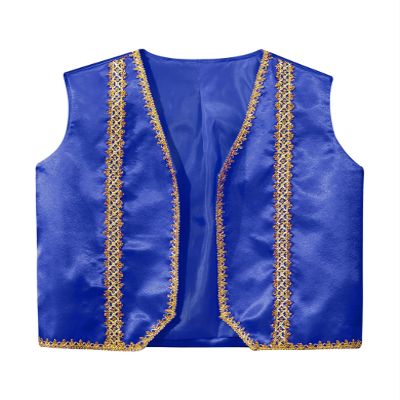 HULIJA Kids Medieval Steampunk Sleeveless Vest Golden Trim Tailcoat Gothic Jackets Waistcoat Royal Blue 16 Years