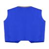 HULIJA Kids Medieval Steampunk Sleeveless Vest Golden Trim Tailcoat Gothic Jackets Waistcoat Royal Blue 16 Years view 2