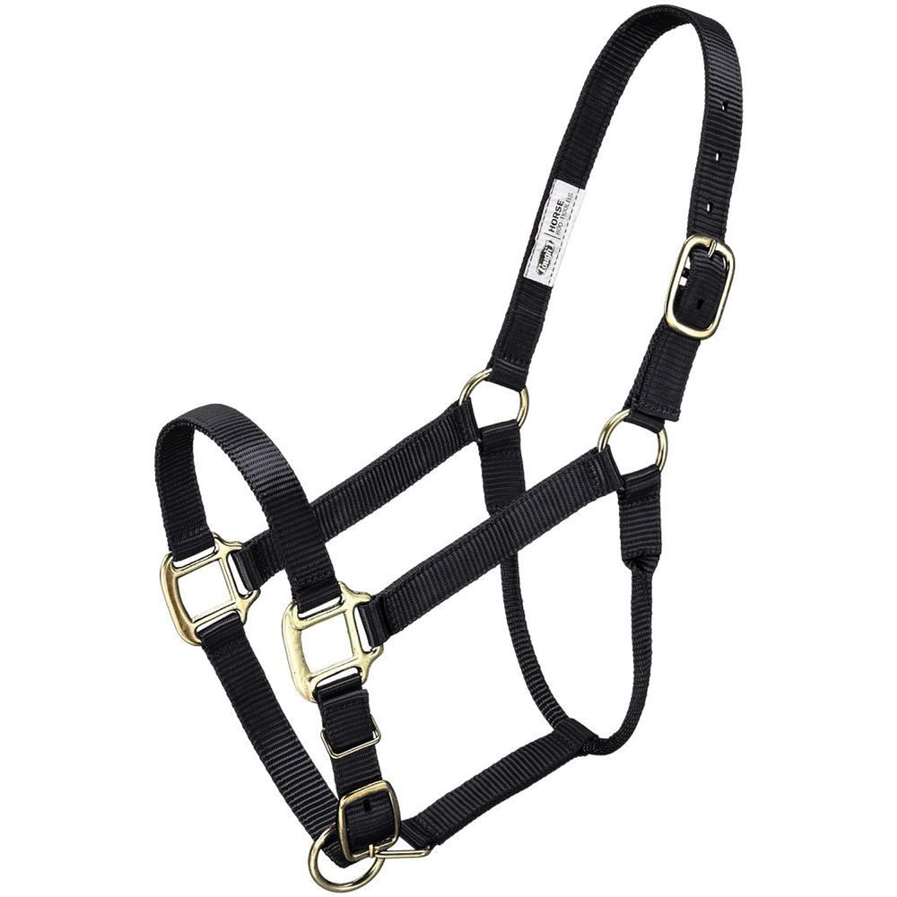 Tough 1 Premium Halter Horse Black