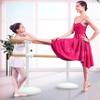 Ballet Barre Double Layer Ballet Barre Mobile Adjustable Height Leg Press Rod, Suitable for Adult and Child Leg Compression Stretching (Color : Silver, Size : 2M/6.6FT) view 2