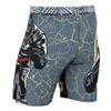 Roar Kids Mixed Martial Arts MMA Shorts BJJ Cross Training Gym Boxing Grappling Kickboxing Muay Thai Workout Shorts (US, Alpha, X-Small, Regular, Gorilla) view 3