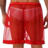 Xnihocha Men's Sexy Mesh Shorts Boxer Underwear Cover up Comfort Breathable See Through Trunks Red Large view 4
