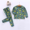 Toddler Girl Boy Long Fruit Print Top Trousers Casual Loose Home Wear Set For 0 To 6 Years Checke (Green, 18-24 Months) view 2