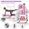 VOPEAK Yoga Mat Storage Rack, Home Gym Storage Rack Yoga Mat Holder, Workout Storage for Yoga Mat, Foam Roller, Gym Organizer Gym Equipment Storage for Home Exercise and Fitness Gear (Metal) view 2