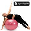Femeo Exercise Ball for Yoga, Stability, Pregnancy Pilates & Birthing | 100 Page Book | Over 50 Workout Exercises | Anti Burst Pink 65cm view 2