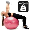 Femeo Exercise Ball for Yoga, Stability, Pregnancy Pilates & Birthing | 100 Page Book | Over 50 Workout Exercises | Anti Burst Pink 65cm view 4