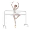 Ballet Barre Ballet Pole in Children's Dance Room, Stable Metal Frame Suitable for Yoga and Pilates, Height 80-105cm (Color : White, Size : 1.2M/3.93FT) view 2