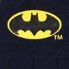 Batman Classic Bat Signal Youth Beanie and Gloves Set view 4