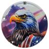 Custom Aluminum 5 Hole Twin Cam Derby Clutch Cover for Harley Davidson - Sunrise Eagle (Matte, 1999-2015 Touring & Trike Models)