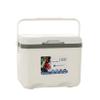 BNEI 6L/12L/20L/30L Portable Cooler, Large Capacity Home Cooler, Suitable for Picnic and Daily use, White Color (A,20L) view 1