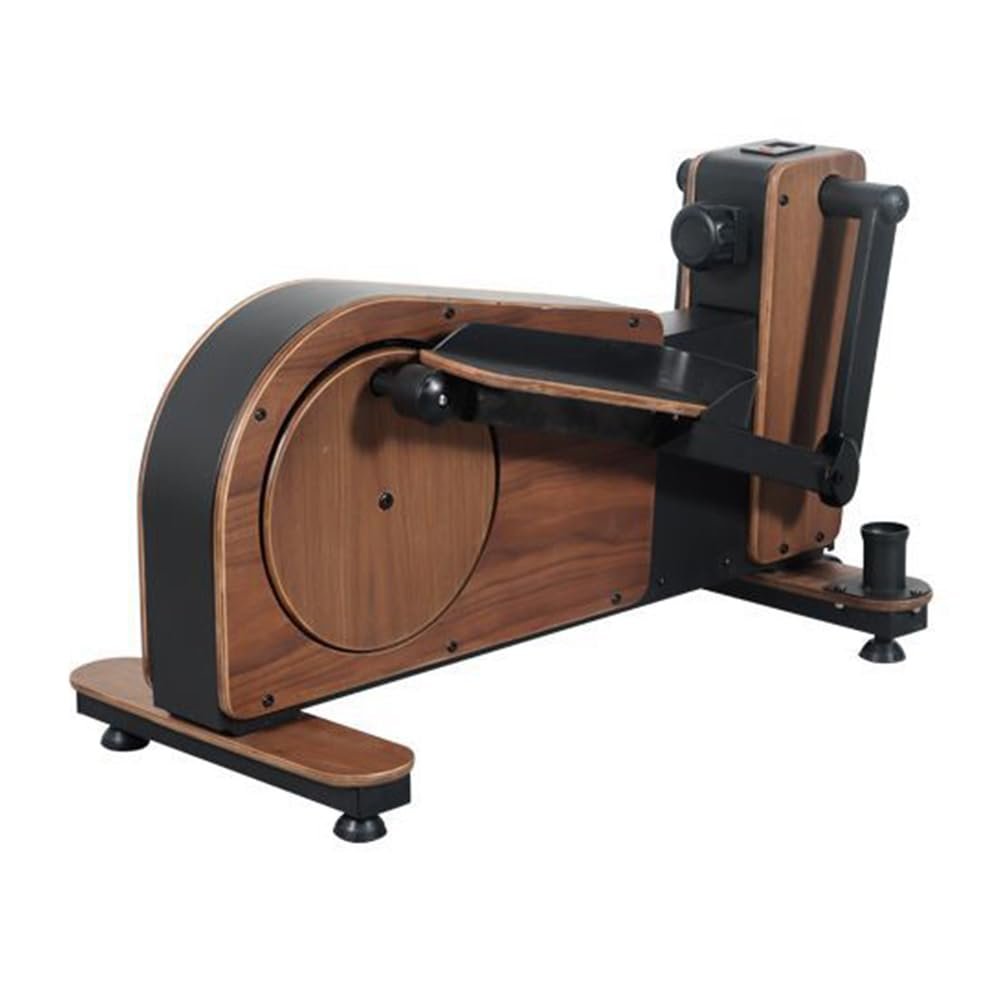 ASSYA Walking Machine Home Elliptical Trainer Small Elliptical Machine Resistance Adjustment Magnetic Mute Stable Placement Saves Space