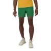 Champion Men's Shorts, All Purpose, Water Resistant Sports Men's Shorts, Swim Shorts for Men view 4