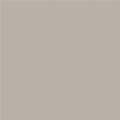 SAMPLIZE Benjamin Moore Silver Fox Peel & Stick Color Sample 2108-50