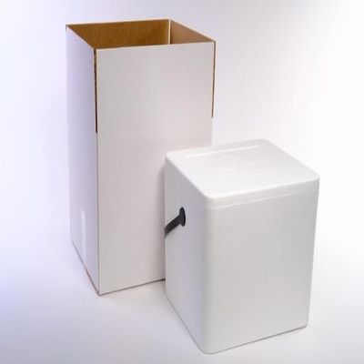 Salutem Vita - 22qt Styrofoam Cooler | Large Lightweight Insulated Ice Chest for Food, Drinks & Medical Transport | Inside: 12.5 x 10.5 x 10.75 inches, Outside: 14.5 x 12.5 x 12.75 inches.