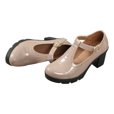 Ctreela Mary Jane Shoes for Women Girls Chunky Wedges T-Straps Oxfords Shoes Baroque Dress Shoes Platform Goth Lolita Shoes