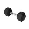 Yes4All Cast Iron - Chrome Grip Hex Dumbbell - 10 lbs - Single view 1