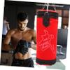 Sosoport Boxing Sandbag for Full Body Workout Thickened Canvas Material and Convenient Fitness Training Bag Filling for Resistance for Home Gym Use view 3