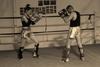 O2TEE Women Girls Traditional Boxing Shorts Combat Boxer Trunks for Competition,Warrior 2XS view 3