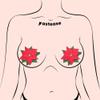 PASTEASE Holiday, New Years & Christmas Pasties - Nipple Covers - Cozy Lingerie Outfit Accessory | Latex Free & Made in USA (Christmas Winter Poinsettia) view 2