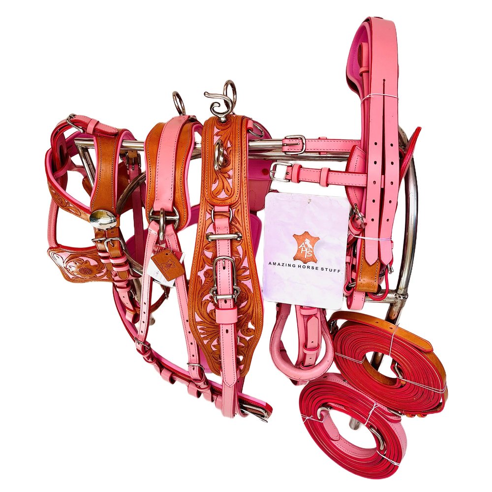 Designer Dual Tone Horse Driving Leather Harness for Single Horse cart with Stainless Steel Hardware (Full, Pink)